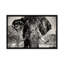 " Elephant Portrait " by Philippe Hugonnard-23354510-72689664-72689665