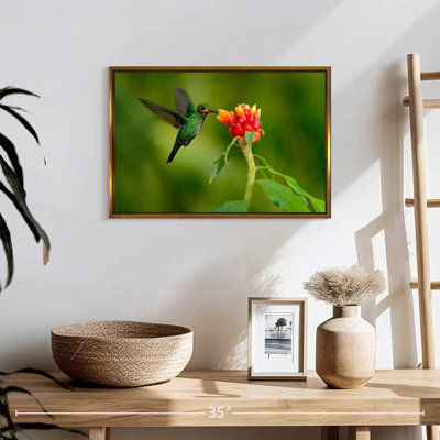 Fleur et colibri vert