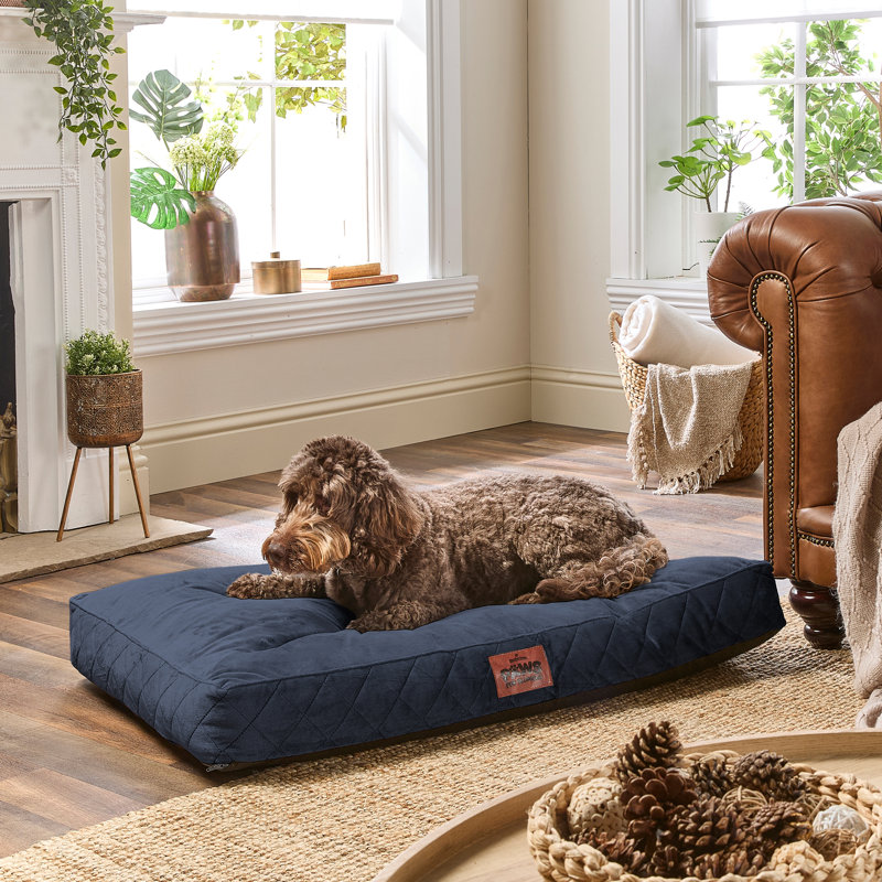Slumberdown Paws for Slumber Raised Padded Dog Bed – Comfortable, Supportive & Durable Pet Bed for All Breeds, Navy