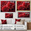 «Crimson Mums Elegance Blooms» - art mural sur toile Mums-97014541-97014529