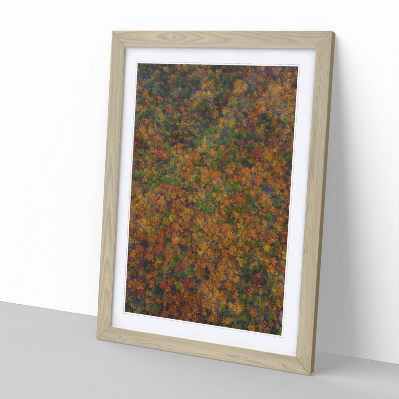 Thousands of Trees - Picture Frame Graphic Art, 36cm H x 27cm W x 2cm D, Oak