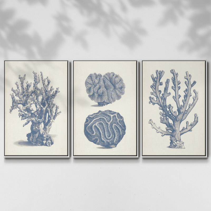 Antique Coral Collection II, ensemble de 3 toiles tendues avec châssis de qualité supérieure, Blanc, H 27 po x l 54 po