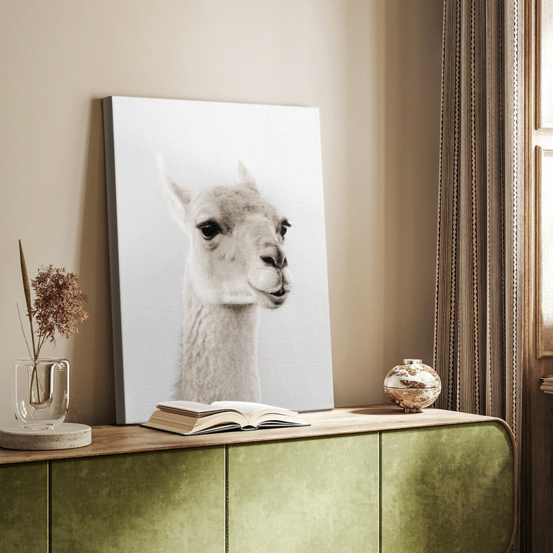 Lama doux - galerie Cavas sur mesure, H 36 po x l 24 po