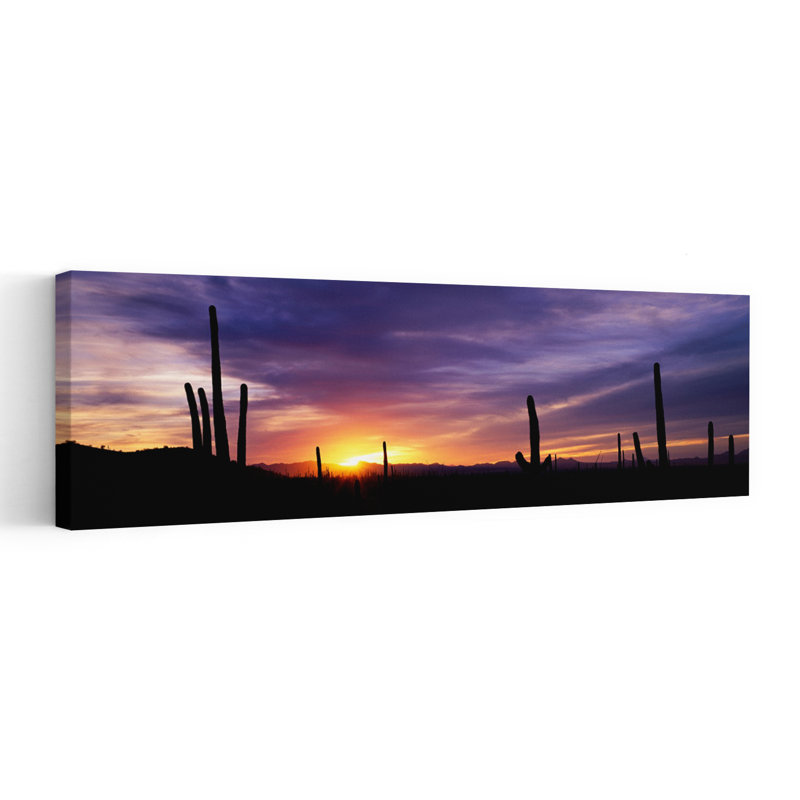 Desert Sunset Saguaro National Park Arizona by David L Brown - Wrapped Canvas Panoramic Print, 30.48 cm H x 91.44 cm W