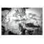 Photographers Lane - Wrapped Canvas Print-22471488