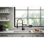 HGN Kitchen Faucet-100477274