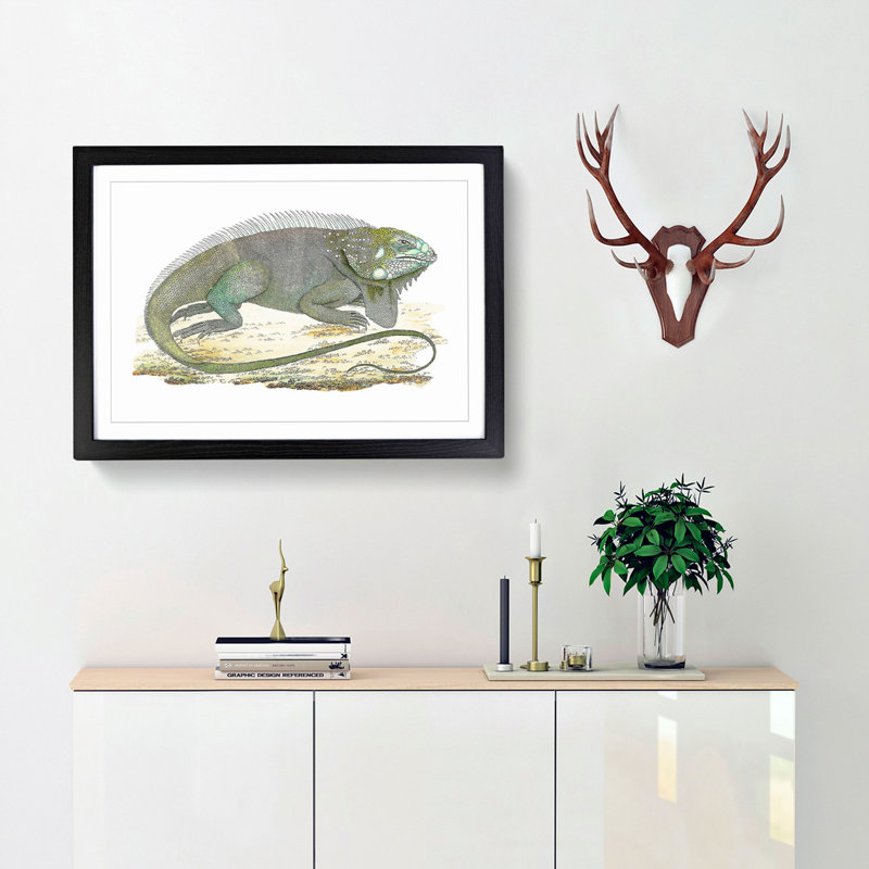 Iguana by George Shaw - Picture Frame Graphic Art Print, Black Framed, 27cm H x 36cm W x 2cm D