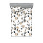 Almond Dark Slate Blue Floral