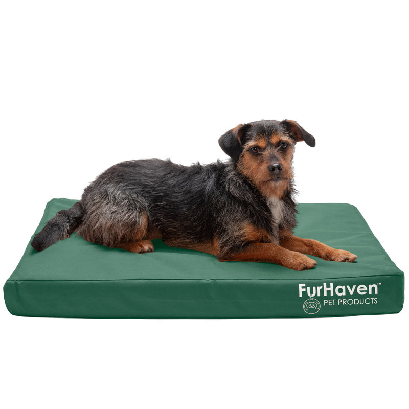 Forest Green Medium Orthopedic Waterproof Outdoor Pet Bed