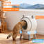 Polyethylene Plastic Self-Cleaning Litter Box