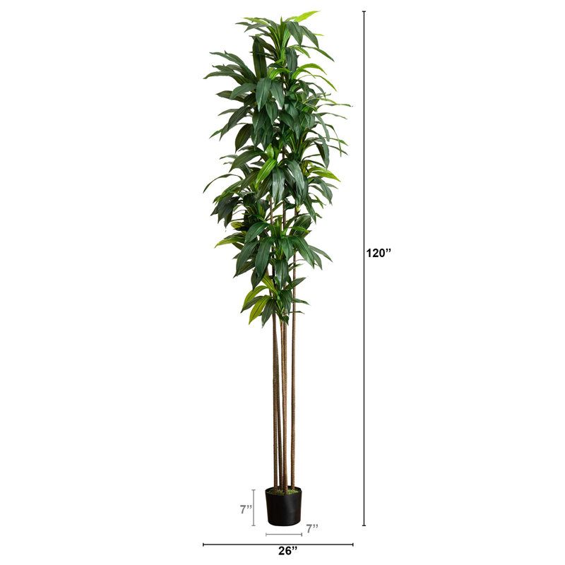 120'' Faux Dracaena Tree in Pot Liner