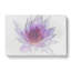 Water Lily In Abstract - Wrapped Canvas-55299441