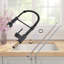 FLG Pull Down Kitchen Faucet