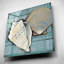 «Seashell Sketch II» par Tim O'Toole, art mural en verre acrylique-2051484232