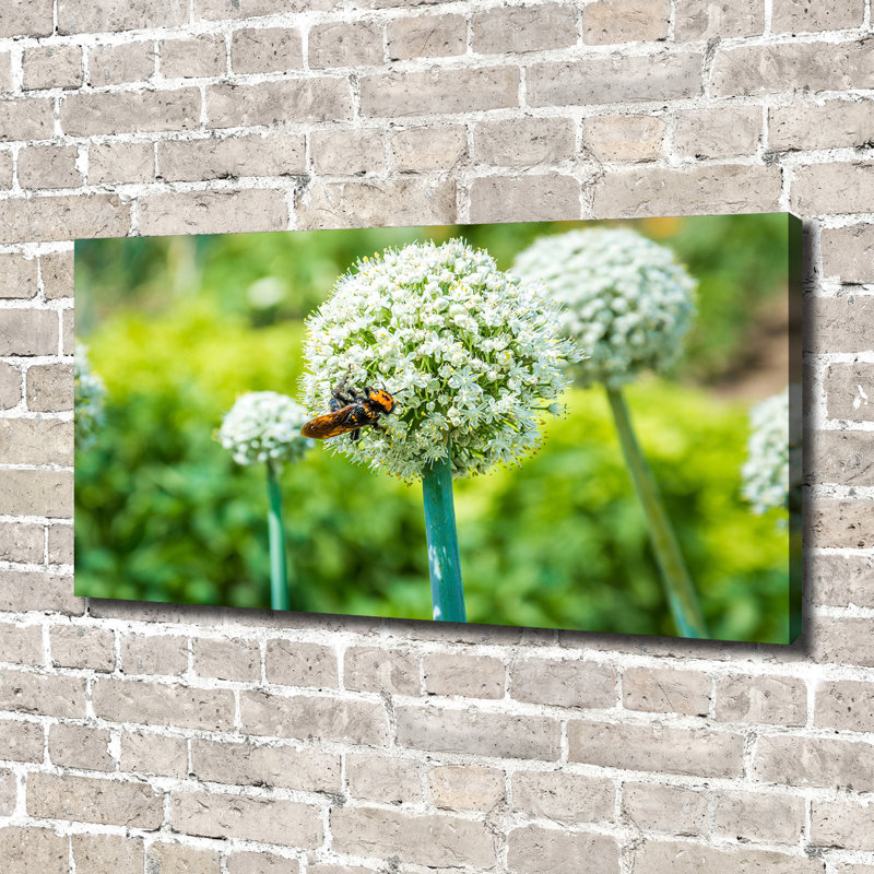 Blooming Garlic - Print, Glass, 70cm H x 100cm W x 4cm D