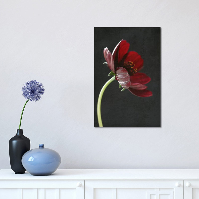 Chocolate Cosmos Flower I 1 Piece Wrapped Canvas Wall Art, 45.72cm H x 30.48cm W