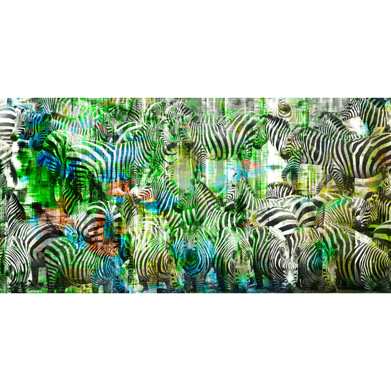 Parvez Taj - Wrapped Canvas Print, 30cm H x 61cm W