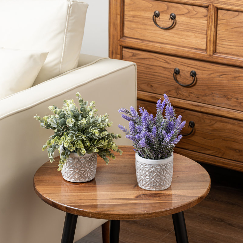 2 - Piece Artificial Plant Set