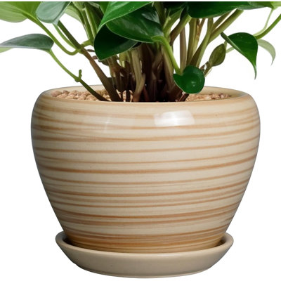 6 Inch Yellow Ceramic Succulent Planter Pot