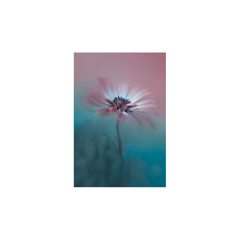 Wrapped Canvas Print, 76.2cm H x 50.8cm W