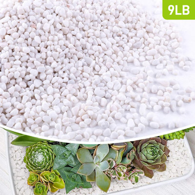 White Pebbles For Plants Garden Vases 9 Lb White Rocks Gravel Decorative Stone 1/2"