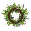 Couronne de rançon et astilbes 24 po Holiday Aisle®