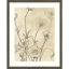 «Vintage Wildflowers I» par June Erica Vess - peinture encadrée-1737467450-1737467449