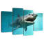 Requin mégalodon Brampt éteint