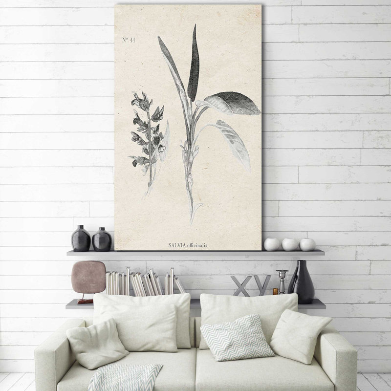 Latine botanique II par Janice Gaynor - impression, Toile tendue, H 60 po x l 36 po x P 1,5 po