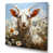 Toile tendue
