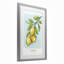 «Modern Bistro Lemons», reproduction d'art sous verre encadrée par Chad Barrett-1513752629-1513752632