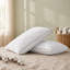 Ensemble de 2 oreillers en duvet d'oie à plumes et en duvet à soufflet Gusset-428016687-533928160