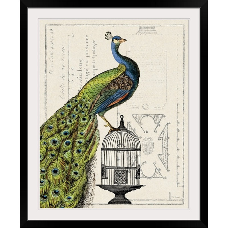 « i » par sue schlabach, impression Peacock Birdcage, H 48 po x l 38 po x P 1,5 po, Toile