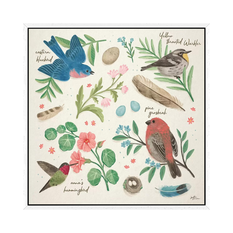 Bird Study III 1 Piece Wall Art on Canvas, 45.72cm H x 45.72cm W x 3.81cm D, White Framed