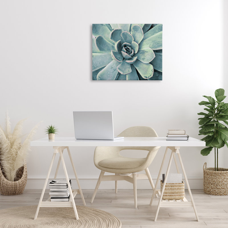 «Green Cactus Succulent», art mural sur toile par Susan Bryant, H 24 po x l 30 po