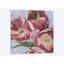 Mauve tulipes ii, impression sur toile-32496919-72132517-72132518