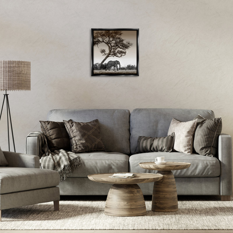 Elephant & Curved Desert Tree, Cadre flottant noir de jais, H 18 po x l 18 po