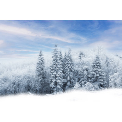 Arbres d'hiver dans les montagnes recouvertes de neige fraîche par Ranasu