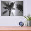 «Palm Tree Look Up II» par Debra Van Swearingen-1441547900