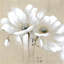 Fleurs blanches abstraites blanches - reproduction botanique encadrée