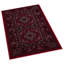 Oriental Indoor / Outdoor Area Rug-1815327060