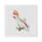 Cockatoo Cotton Sateen Dinner Napkins