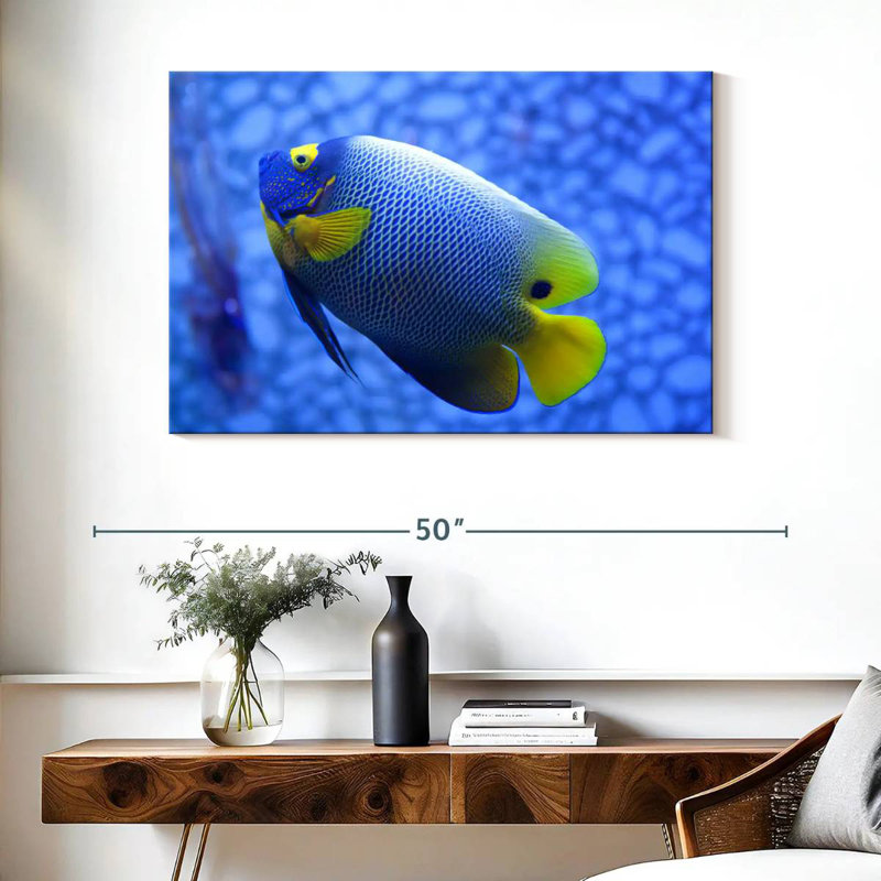 Angelfish bleu corail Brampt, H 26 po x l 39 po