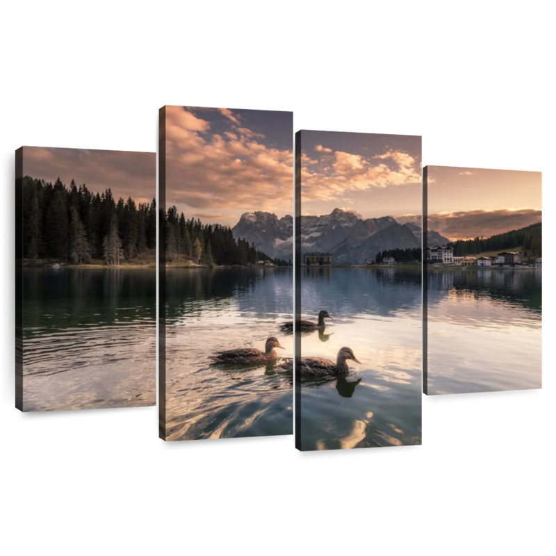 Alvord Lake Misurina Ducks