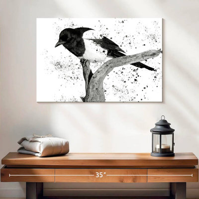 Brampt Black And White Bird