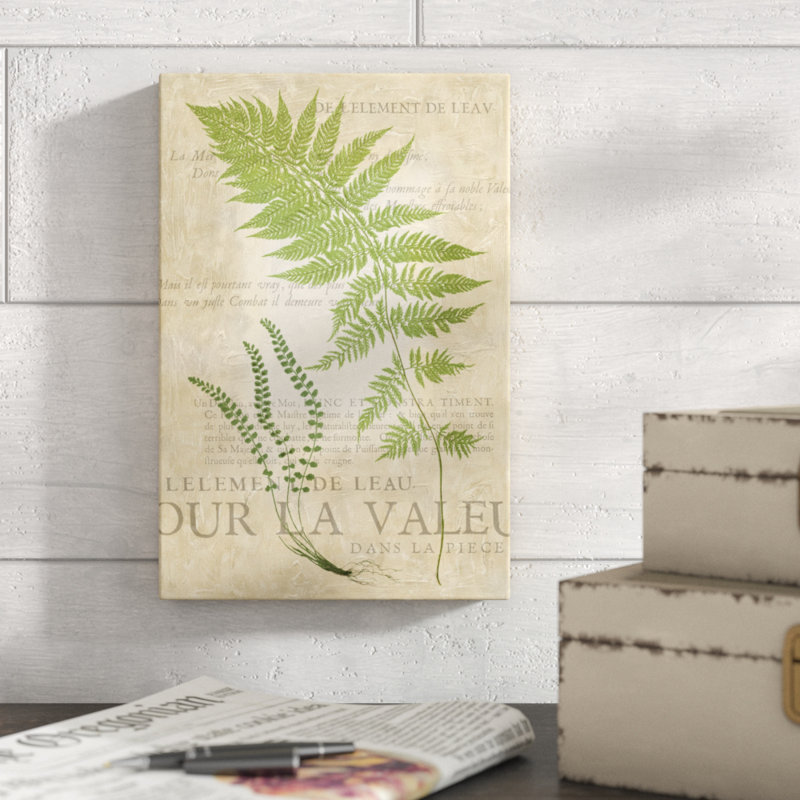 Fern Folio II by Vision Studio - Painting Print, 30cm H x 20cm W, Wrapped Canvas