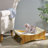 Cat Scratch Lounger