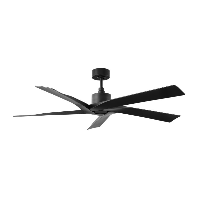 Visual Comfort Fan Aspen Coastal Outdoor 56 Ceiling Fan with Threaded Downrod, Midnight Black ABS blades and Wall Mount Control