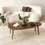 Sicario Coffee Table