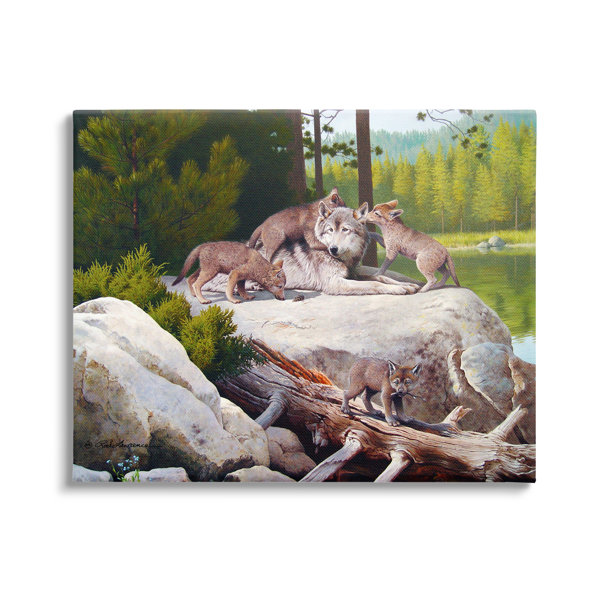 Millwood Pines Wolf And Cubs In Nature On Canvas by Rod Lawrence Print ...